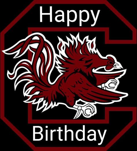 Happy Birthday Gamecock University Of South Carolina, Carolina Gamecocks, South Carolina Gamecocks, Wallpaper Cave, South Carolina, University, Football, Wallpapers, American Football