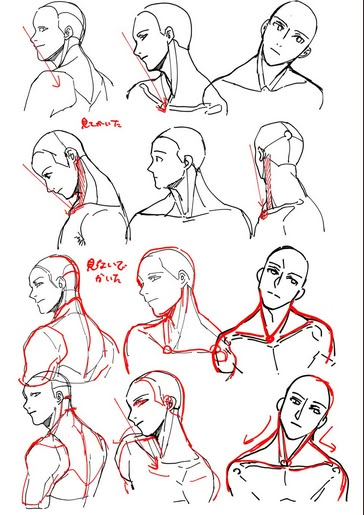 Draw Head, Comic Tutorial, 얼굴 드로잉, Body Drawing Tutorial, Face Drawing Reference, Human Anatomy Art, Anatomy Sketches, Body Reference Drawing, Drawing Expressions