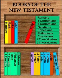 Books of the New Testament in order, color-coded by author. Nice! From NW Seminary Share Scripture Mastery Games, Books Of The New Testament, Scripture Mastery, Lds Seminary, Bible Basics, New Testament Books, The New Testament, Church Activities, Chronological Order