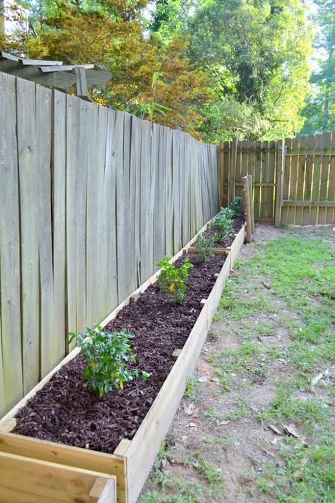 Gardenia Garden Beds - The Ugly Duckling House Gardenia Garden, Wooden Raised Garden Bed, Vegetable Garden Raised Beds, Building A Raised Garden, Diy Raised Garden, Garden Vines, Raised Garden Beds Diy, Ugly Duckling, Chain Link Fence