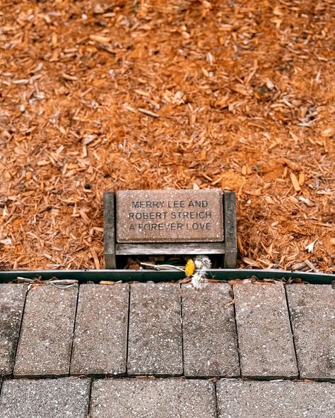 My parents’ brick in the church’s memorial garden 🧡🧡 What an amazing thing to have a memorial garden outside the church where you can sit, reflect, pray and remember. More churches should have spots like this 💚🧡🌿 #inremembrance #aforeverlove #foreverlove #inmemory #inmemoryof #memorialgarden #memorialgardens #engravedbricks #engravedgifts #churchdesign #churchmemorial #churchgarden #churchgardens #crosswindscommunitychurch #stillwatermn #stillwaterminnesota #churchinspiration #churchlands... Accident Site Memorial Ideas, Stillwater Minnesota, Church Inspiration, Memorial Ideas, Memorial Garden, Church Design, Engraved Gifts, My Parents, Forever Love