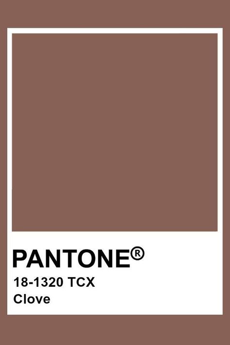 Vintage Paint Colors, Brown Pantone, Pantone Tcx, Pantone Color Chart, Pantone Swatches, Pantone Palette, Pantone Colour Palettes, Color Chip, Color Inspo