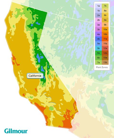 Planting zones provide valuable information for gardeners and farmers. Learn which zones are in California to start growing a beautiful lawn & garden today! Zone 9 Plants California, Zone 9 Gardening California, Growing Zones Map, Gardening Zone Map, Tehachapi California, Planting Zones Map, Zone 9 Gardening, Vista California, California Plants