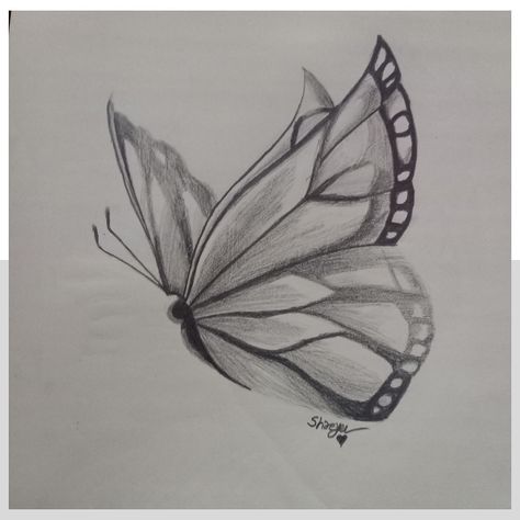 Side Butterfly Drawing, Nice Drawings, Butterfly Sketch, Shading Drawing, Easy Mandala, Drawing Classes, Easy Mandala Drawing, Easy Doodles, Led Pencils