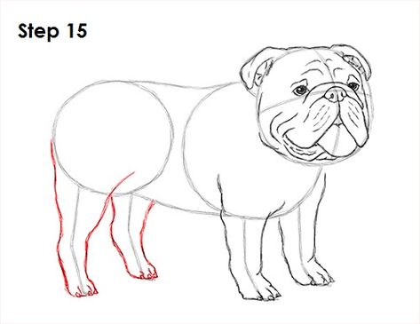 Bulldog Dog Drawing 15 Draw A Bulldog, Bulldog Sketch, Dog Drawing Tutorial, Bulldog Drawing, Drawing Grid, Animal Tutorial, White Bulldog, Puppy Sketch, Droopy Eyes