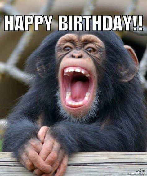 Monkey Happy Birthday, Monkey Meme, Birthday Monkey, Birthday Images Funny, Funny Happy Birthday Images, Happy Birthday Cousin, Funny Happy Birthday Meme, Happy Birthday For Him, Funny Happy Birthday Wishes