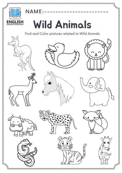 Wild Animal Worksheets Preschool, Wild Animals Worksheets For Kindergarten, Pet Animals Worksheets For Kids, Wild Animals Worksheets For Kids, Wild Animals Preschool Activities, Haiwan Liar, Healthy Habits Preschool, Animal Pictures For Kids, Fun Worksheets For Kids