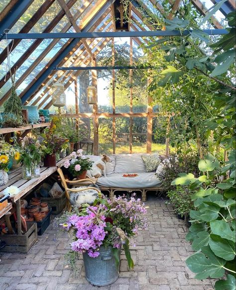 Yoga Greenhouse, Greenhouse Sunroom, Sunroom Greenhouse, Garden Room Interiors, Garden Shed Interiors, Terrasse Design, Outdoor Greenhouse, Sunroom Ideas, Greenhouse Interiors