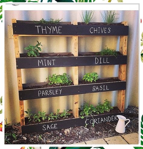 Looking to spruce up your garden? Check out these creative pallet planter ideas that will transform your outdoor space into a botanical paradise. From vertical herb gardens to colorful flower displays, these DIY projects are perfect for adding a touch of rustic charm to your backyard. Get inspired and start creating your own pallet planters today! Pallet Planter Ideas, Pool Garage, Vertical Garden Wall Planter, Cabinets Bedroom, Herb Garden Pallet, Tattoo Garden, Pallet Projects Garden, Outdoor Herb Garden, Spice Garden