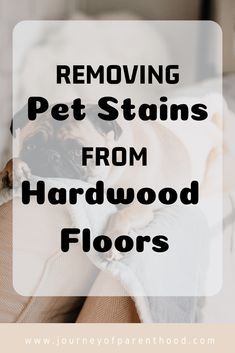 Pet Urine Smell, Dog Pee Smell, Pee Stains, Pee Smell, Remove Pet Stains, Clean Hardwood Floors, Pet Smell, Cleaning Painted Walls, Urine Smells