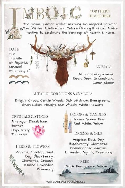 Wicca Holidays, Imbolc Ritual, Wiccan Sabbats, Egiptul Antic, Arte Occulta, Fire Festival, Magia Das Ervas, Wheel Of The Year, Wiccan Witch