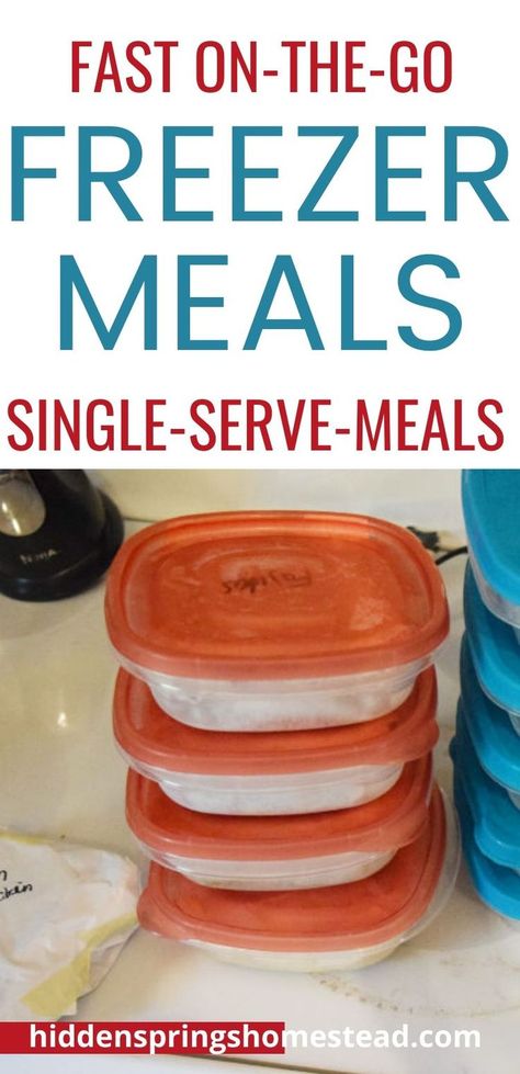 One Serving Freezer Meals, Portioned Freezer Meals, Frozen Individual Meals, Individual Serving Freezer Meals, Easy Single Serve Freezer Meals, Small Freezer Meals For 2, Freezer Meals For 1 Person, Single Serving Frozen Meals, Single Freezer Meals Cooking For One