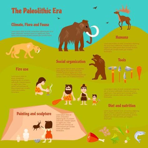 Stone Age Flat Infographics Stone Age Animals, Stone Age People, Stone Age Man, Paleolithic Period, Stone Age Tools, Paleolithic Era, Fire Rocks, Prehistoric Man, University Architecture