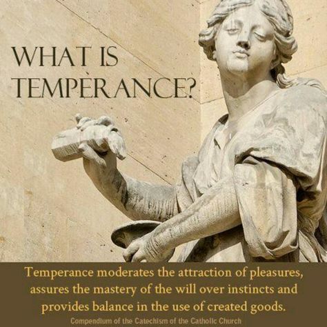 Temperance Temperance Virtue, Temperance Aesthetic, Temperance Quotes, Study Stuff, Study Scripture, Christ The King, Positive Psychology, Wheel Of Fortune, Holy Trinity