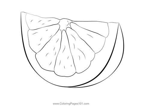 Grapefruit Slice Coloring Page Grapefruit Illustration, Fruit Template, Grapefruit Slice, Fruit Tattoo, White Image, Free Kids, Printable Coloring Pages, Printable Coloring, Linocut