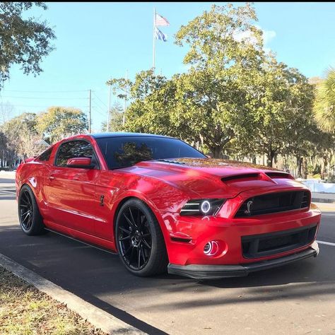 2010-2014 Mustang Magazine on Instagram: “@pguest32 killin it 🔥🔥🔥 We started a new page! Become an early follower @3valveclub if you like 05-09 mustangs. TAG us in your car pics…” Mustang 2010, Honda Civic Car, 2014 Mustang, Civic Car, 2010 Mustang, Car Pics, Killin It, Honda Civic, Car Pictures