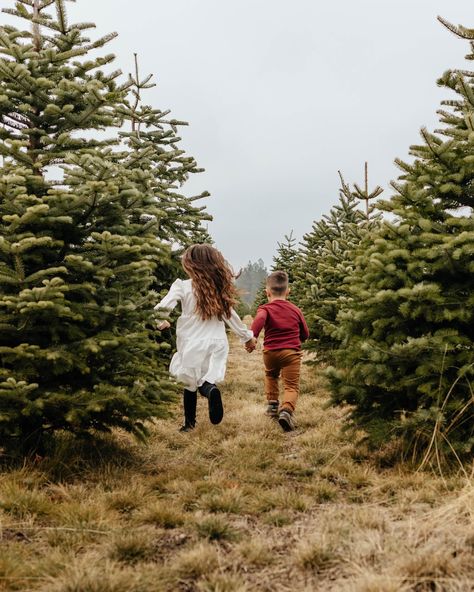 Day 1 of Christmas Tree Farm minis #spokanechristmasminisession #christmastreefarmminisessions #carversfarm #spokanephotographer Christmas Tree Farm Holiday Photos, Christmas Photoshoot Ideas Outdoor, Christmas Tree Farm Photo Shoot Family, Christmas Farm Photo Shoot, Christmas Tree Lot Photoshoot, Family Christmas Tree Farm Pictures, Christmas Tree Farm Aesthetic, Farm Photoshoot Ideas, Christmas Tree Farm Photoshoot