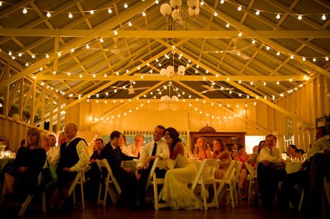 String Fairy Lights. Our wedding. Athol Hall, Festoon Lights, Wedding Style Inspiration, Hall Lighting, Festoon Lighting, Fairy String Lights, Uk Wedding, Fairy Lights, Future Wedding