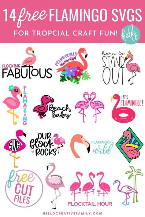 Diy Kids Shirts, Summer Party Diy, Flamingo Svg, Flamingo Craft, Crafts Cricut, Cricut Svg Files Free, Free Svgs, Summer Party Decorations, Cricut Tips