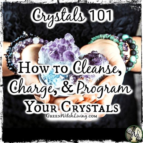 Congrats, new crystal owner! The first important step to learn about crystal care is how to cleanse, recharge, and program your crystals. Witchcraft Resources, Recharge Crystals, Crystals 101, Easy Cleanse, Crystals Healing Grids, Crystal Care, Witch Herbs, Natural Waterfalls, Energetic Body