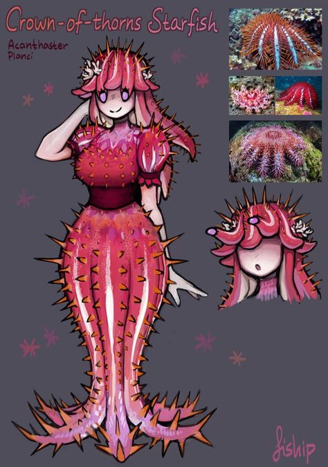 (1) Fiship on Twitter: "Two more aquatic characters for mermay! Spotted sea hare and crown-of-thorns starfish Selling on my patreon! 🐇⭐️ https://t.co/DfkKB592kA" / Twitter Monster Girl Encyclopedia, Monster Concept Art, Crown Of Thorns, Fantasy Creatures Art, Mythical Creatures Art, Creature Concept Art, Human Art, 만화 캐릭터, Female Character Design