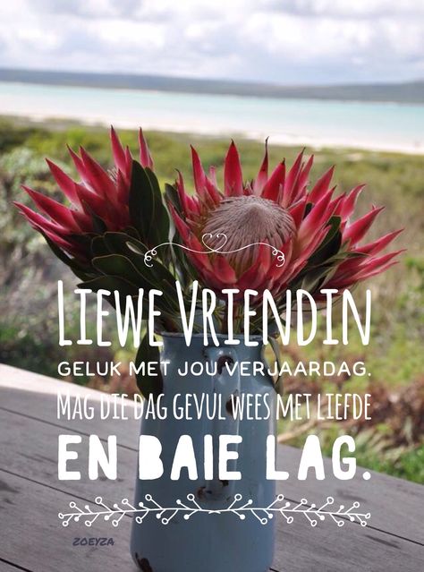 Happy Birthday Protea Flower, Veels Geluk Vriendin, Vriendin Verjaarsdagwense, Lekker Verjaar Vriendin, Verjaardag Wense Afrikaans Vriendin, Veels Geluk Verjaarsdag Afrikaans Vriendin, Verjaardagwense Vriendin, Oujaarsdag Wense Afrikaans, Lekker Verjaar Afrikaans