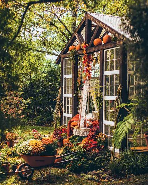 Tiny Wedding Venues, Cottage Journal, Build A Greenhouse, Virginia Wedding Venues, The Home Edit, Potting Sheds, Seasonal Garden, Garden Studio, Nature Garden