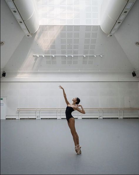 Yasmine Naghdi on Instagram: “#reaching @ballerinaproject_ #royalballet #royaloperahouse” Yasmine Naghdi, Royal Opera House London, Svetlana Zakharova, Art Ballet, Ballerina Project, Ballet Pictures, Paris Opera Ballet, Ballet Beauty, Dance Photography Poses