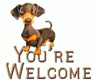 Youre Welcome Dog GIF - YoureWelcome Dog ThankYouDog - Discover & Share GIFs You Are Welcome Images, Thank You Images Funny, Thank You Messages Gratitude, Dog Animated, Youre Welcome, Welcome Quotes, Welcome Gif, Welcome Images, Thank You Images