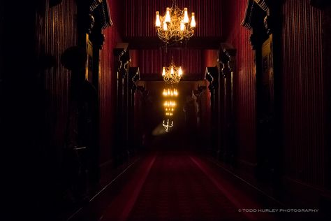 Haunted Mansion Endless Hallway | Flickr - Photo Sharing! Endless Hallway, Indrid Cold, Haunted Mansion Ride, Mansion Bedroom, Castle Aesthetic, Mansion Floor Plan, Haunted Hotel, Disney Haunted Mansion, Modern Mansion