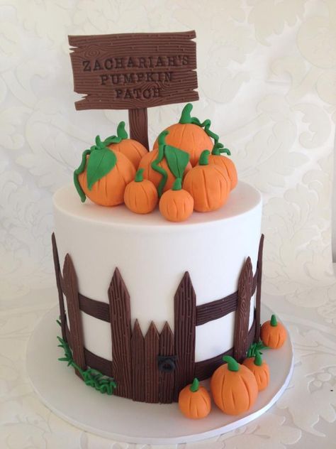 Pumpkin Patch! - Cake by Mary @ SugaDust Pumpkin Bday Cake, Pumpkin Patch Birthday Cake, Pumpkin Patch Cake Ideas, Pumpkin Theme Sheet Cake, Halloween Pumpkin Cake Design, Pumpkin Patch Cake, Fall Birthday Cakes, Witch Cake, Pumpkin Patch Birthday