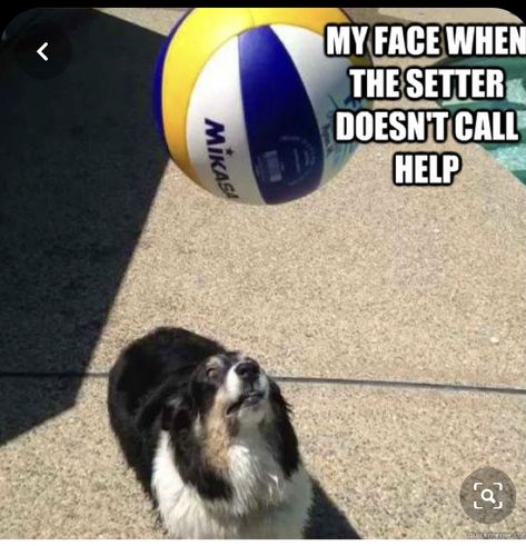 Volleyball Middle Hitter Tips, Wallpaper Volleyball, Volleyball Quotes Funny, Volleyball Jokes, Volleyball Motivation, Volleyball Problems, Volleyball Memes, Volleyball Setter, Volleyball Skills