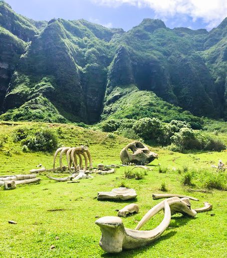 Kualoa Ranch: Jurassic Park of Hawaii Review — Adventure For Less Kualoa Ranch Hawaii Jurassic Park, Jurassic Park Island, Hawaii Jurassic Park, Hawaii Culture, Kualoa Ranch Hawaii, Superhero Inspiration, Oahu Vacation, Kualoa Ranch, Travel Hawaii