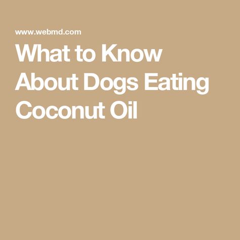 What to Know About Dogs Eating Coconut Oil Dog Coconut Oil, Eating Coconut Oil, Dogs Eating, Flea Remedies, Coconut Oil For Dogs, Cat Diet, Coconut Peanut Butter, Unrefined Coconut Oil, Oils For Dogs