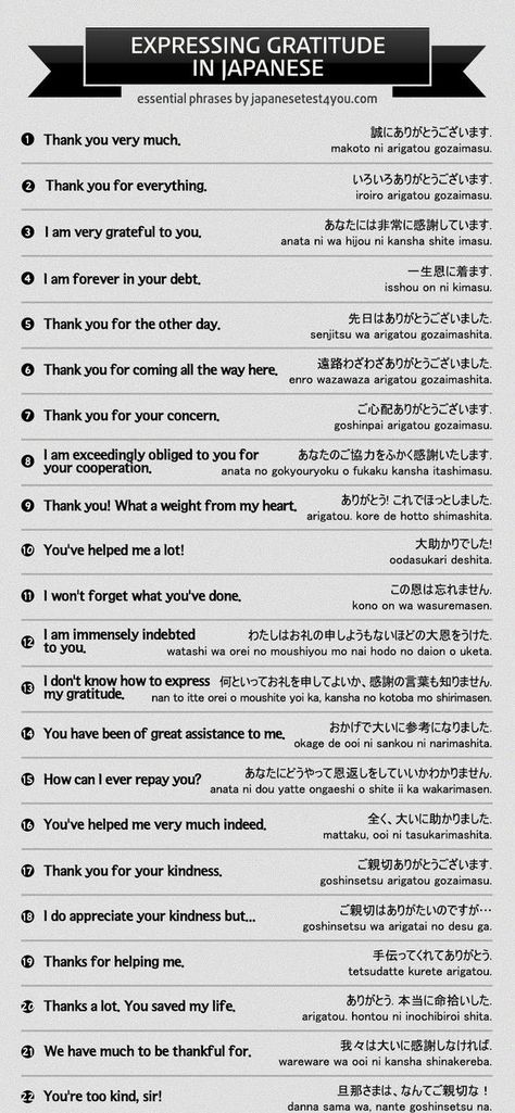 Express Gratitude in Japanese. Learn how to express gratitude in Japanese language, say thank you in Japanese to impress Japanese speakers. Compliment In Japanese, Japan Speaking Myanmar, How To Say No In Japanese, How To Speak Japanese Learning, How To Say In Japanese, How To Speak Japanese Fluently, Japanese Conversation Phrases, Japanese Phrases For Travel, Japanese Travel Phrases