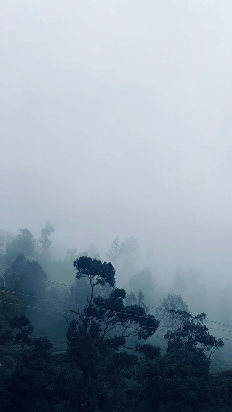 Kerela have lot of hill stations with misty climate throughout the year. Hill Station Aesthetic, Ooty Hill Station, Station Aesthetic, Manifesting 2024, Ooty, Hill Station, Aesthetic Photos, Aesthetic Photo, Kerala