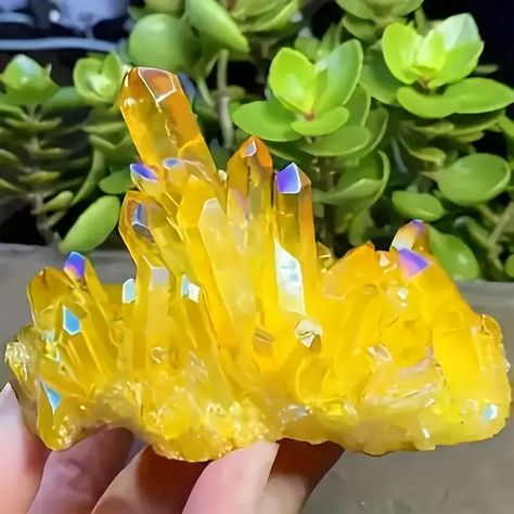 Yellow Citrine Cluster Natural Crystal Specimen Geode Trophy - Temu Aura Quartz Cluster, Crystals Quartz, Raw Quartz Crystal, Healing Frequencies, Raw Crystals, Reiki Crystals, Higher Self, Crystal Magic, Quartz Cluster