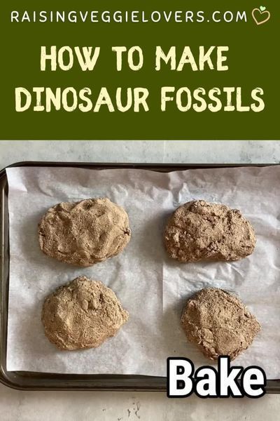 Diy Paleontologist Kit, How To Make Fossils, Diy Dinosaur Fossils, Diy Dino Fossils, Dinosaur Fossil Activity, Herbavor Dinosaurs, Diy Fossils For Kids, Paleontology Activities For Kids, Dinosaur Fossil Craft