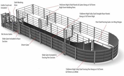 Fixed Cattle Handling Systems Cattle Working Pens, Cattle Pens, Cattle Facility, Cattle Corrals, Livestock Barn, Pen Designs, Cattle Barn, Hay Racks, Raising Cattle