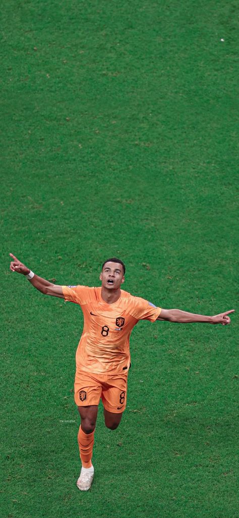 Netherlands Football Wallpaper, Worldcup 2022 Wallpaper, Cody Gakpo Netherlands, Netherlands World Cup 2022, World Cup 2022 Wallpaper, Dutch Wallpaper, World Cup Wallpaper, Netherlands World Cup, Football Player Costume