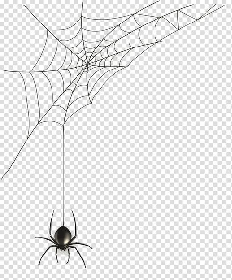 Spider Web Transparent Background, Spiderweb Background, Spider Web Png, Spider Png, Ocean Gif, Cool Png, Spider Clipart, Spider Web Drawing, Spider Cartoon