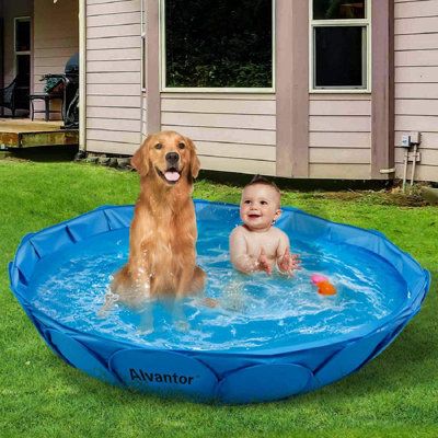 Use it as a swimming pool and bathtub for babies, your little one will enjoy the happy hours! They can play bubbles in it. | ZWISSLIV 1 ft x 5.25 ft Plastic Inflatable Pool Plastic in Blue, Size 12.0 H x 63.0 W in | Wayfair Dog Bathtub, Mini Swimming Pool, Children Swimming Pool, Outdoor Ponds, Dog Pool, Pool Bath, Kiddie Pool, Kid Pool, Dog Bath