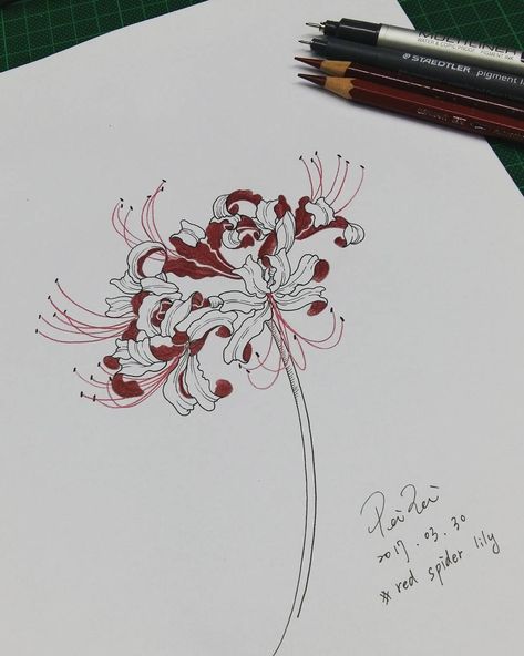 No photo description available. How To Draw Red Spider Lily, Spider Lily Illustration, Red Spider Lily Painting, Higanbana Art, Spider Lilies Drawing, Spider Flower Drawing, Spider Lily Painting, Spider Lily Sketch, Red Spider Lily Drawing