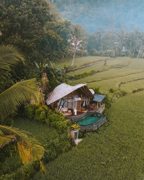 Agung's Nest | Bamboo House Bamboo House, Breathtaking Beauty, Bali, Indonesia, Bath, Bedroom, Beauty