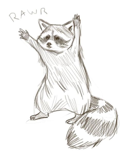 Raccoon Sketch, Animals Sketch, Character Sketching, Sketches Drawing, Flower Drawings, Physical Appearance, Sketching Drawing, Beautiful Sketches, Personality Traits