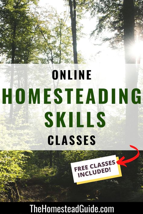 14 online homesteading classes for every budget. Free classes included. The homestead guide dot com. Homestead Skills To Learn, Homesteading Skills To Learn, Fermenting Foods, Permaculture Design Course, Free Classes, Homesteading Skills, List Of Skills, Permaculture Design, Hobby Farm