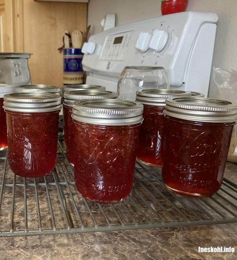 Amish Rhubarb Jam | InesKohl Kitchen Strawberry Fig Preserves, Prickly Pear Jelly, Muscadine Jelly, Fruit Jelly Recipe, Fig Preserves Recipe, Ineskohl Kitchen, Concord Grape Jelly, Crockpot Foods, Glaze For Cake