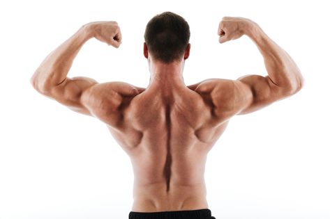 Regardless of your end goal, developing a large and strong back will help you. But why? And how, exactly, do you go about building a large and strong back? Find out here. Trust me; you want to have a big back. Intuitively, if you want to look large and muscular, a big back will help. […] Rear Delt Exercises, Muscle Building Workout Plan, Rotator Cuff Exercises, Upper Back Exercises, Good Back Workouts, Bicep Muscle, Vector Symbols, Rear Delt, Estilo Fitness