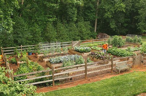 Fenced Vegetable Garden, Guiding Principles, Vegetable Beds Raised, Garden Organization, Vegetable Garden Tips, Vegetable Garden Raised Beds, Backyard Vegetable Gardens, Survival Gardening, Garden Plans