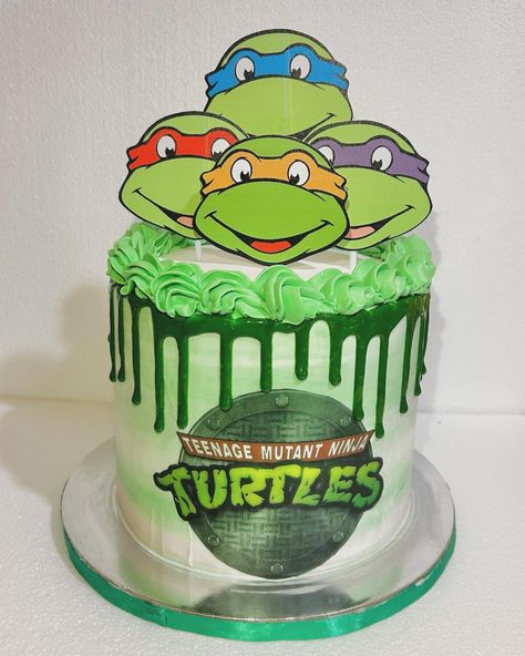 Ninja Turtle Themed Cake ✨ DM me to order 📩 #birthdaycake#cakeshop #customcakes #cake #cakes #cakestagram #cakesofinstagram #honolulusweets #oahusweets #honoluluhawaii #oahuhawaii Ninja Turtles Buttercream Cake, Ninja Turtles Birthday Party Ideas Cake, Ninja Turtles Birthday Cake, Ninja Turtle Birthday Cake, Turtle Birthday Cake, Ninja Turtle Cupcakes, Ninja Turtles Cake, Teenage Mutant Ninja Turtle Cake, Turtles Cake